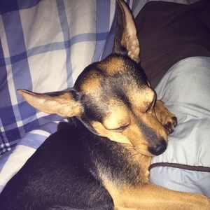 Meet your Posher, Aniqua