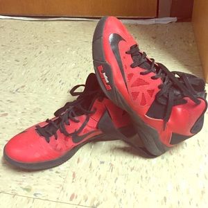 Lebron 6s