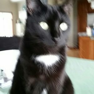 Meet your Posher, Cindee