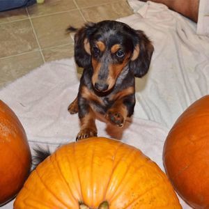 Meet your Posher, Amberly