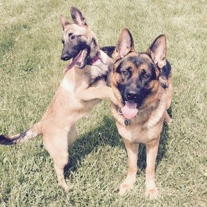 Meet your Posher, Angela