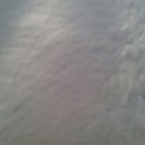 Meet your Posher, Mia