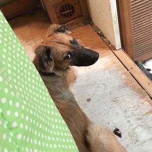 Meet your Posher, John