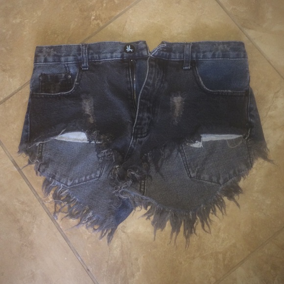 One Teaspoon Two Toned Frayed Shorts (26)