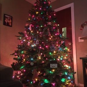 Meet your Posher, Mackenzie