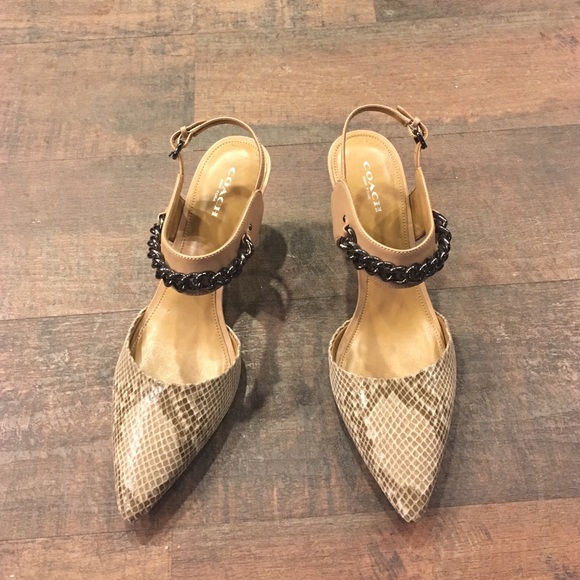 Pointed toe short heel chain coach snake skin heel