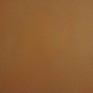 Meet your Posher, Jess