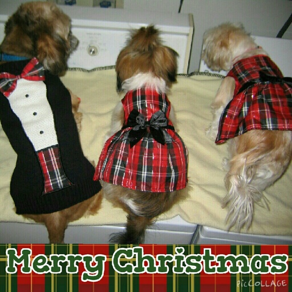 Meet your Posher, 5dollarstore - Picture 3 of 4