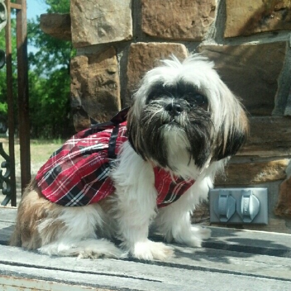 Meet your Posher, 5dollarstore - Picture 4 of 4