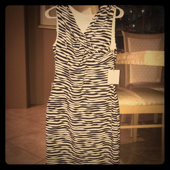 Calvin Klien dress (white and dark blue)