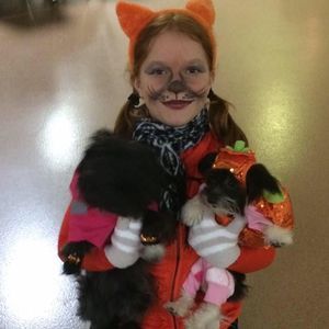 Meet your Posher, Pammy