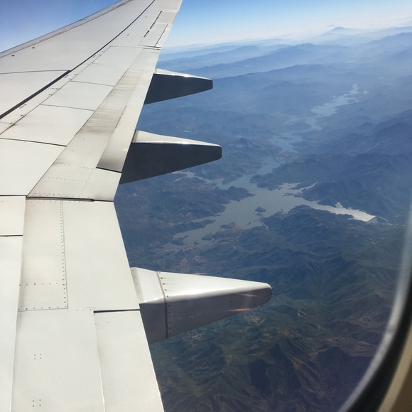 Meet your Posher, Aphrodite - Picture 6 of 6