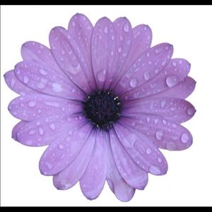 Meet your Posher, Ariana