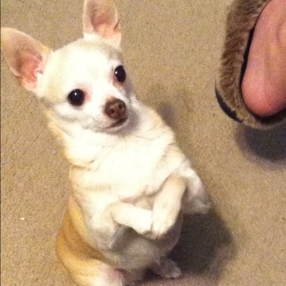 Follow me please! Top Rated ⭐️ - Picture 2 of 8