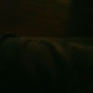 Meet your Posher, Roxana