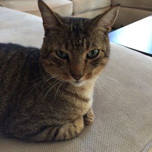 Meet your Posher, Katrina