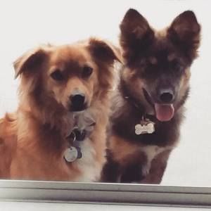 Meet your Posher, Kathy