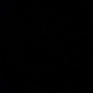 Meet your Posher, Carter