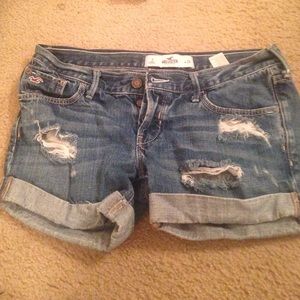 Distressed Hollister shorts