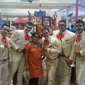 Meet your Posher, Diana