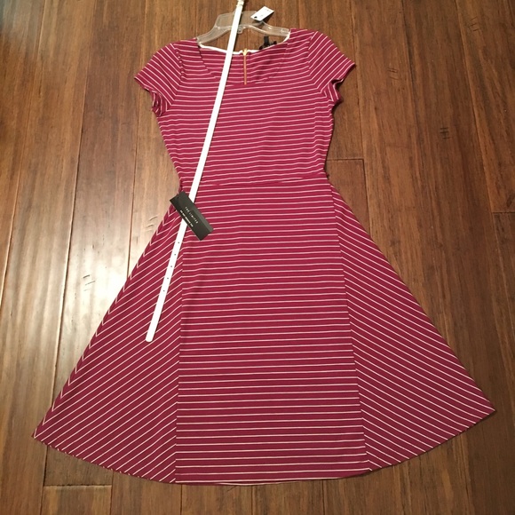 The Limited Dress - Picture 3 of 7