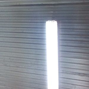 Meet your Posher, Penny