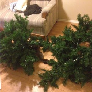 Meet your Posher, Brittney