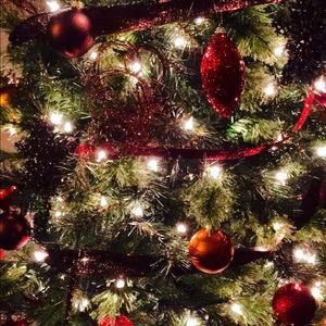 Meet your Posher, Sadie