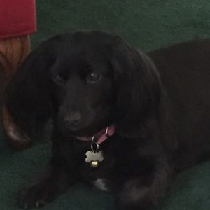 Meet your Posher, Makena