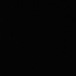 Meet your Posher, Tytus