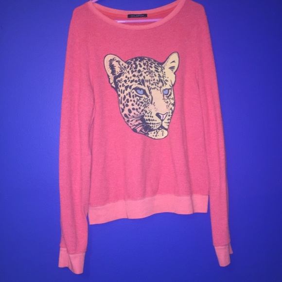 Oversized Wildfox sweater. Perfect condition.