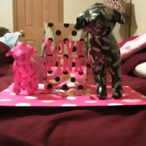 A set giant and small Victoria's secret dogs