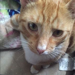 Meet your Posher, Vera