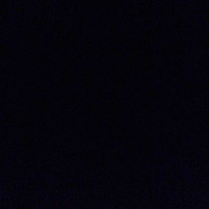 Meet your Posher, Bella