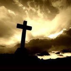 Meet your Posher, Nicholas