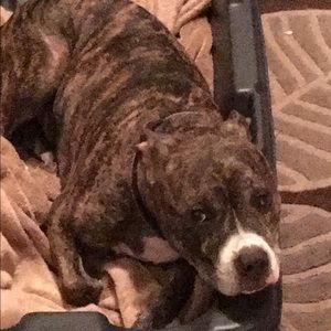 Meet your Posher, Darlene