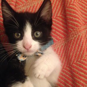 Meet your Posher, Jessica