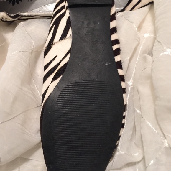 Yellow Box Zebra print - Picture 3 of 3