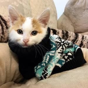 Meet your Posher, Claire