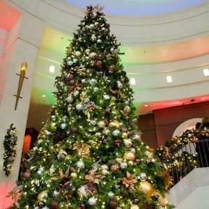 Meet your Posher, Shishira