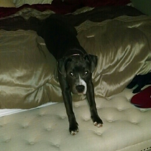 Meet your Posher, Valerie