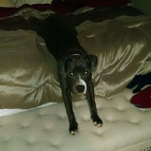 Meet your Posher, Valerie