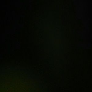 Meet your Posher, Dalenisha