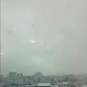 Meet your Posher, Chong