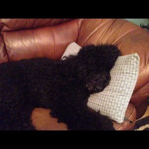 Meet your Posher, Kathryn