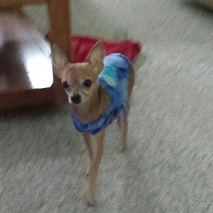 Meet your Posher, Debi