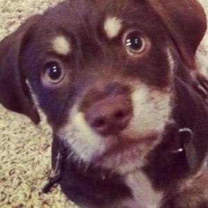 Meet your Posher, Sharilee