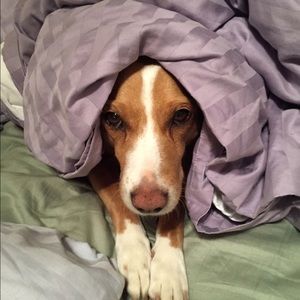 Meet your Posher, Jackie