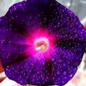 Meet your Posher, Caitlin