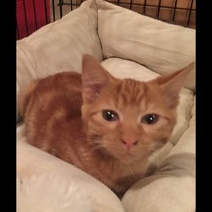 Meet your Posher, Jackie